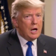 Image for article titled It's Time to Stop Analyzing Donald Trump's Climate Change Beliefs